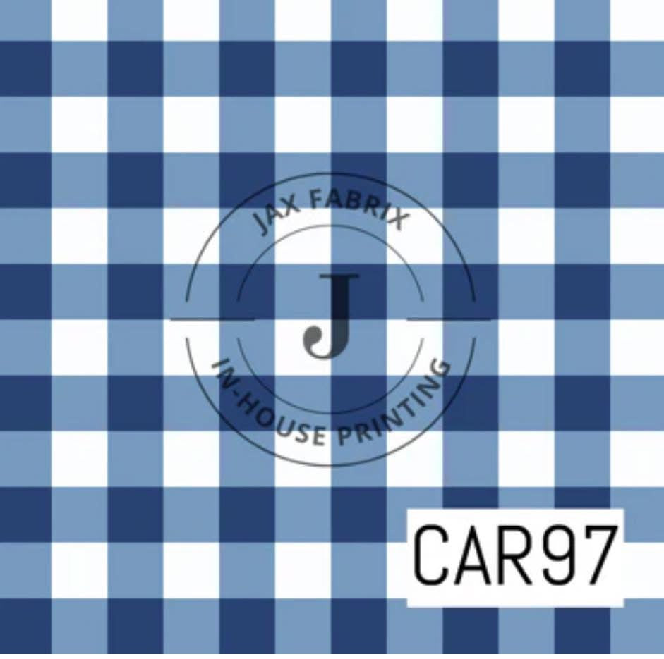 RTS Blue gingham