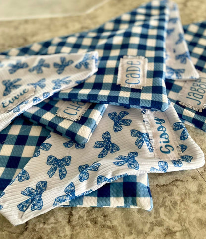 RTS Blue gingham