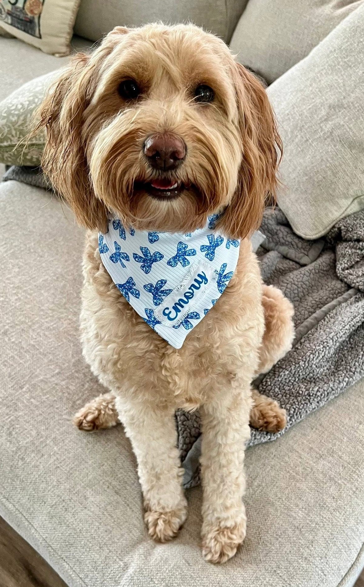 Floral Blue Bows