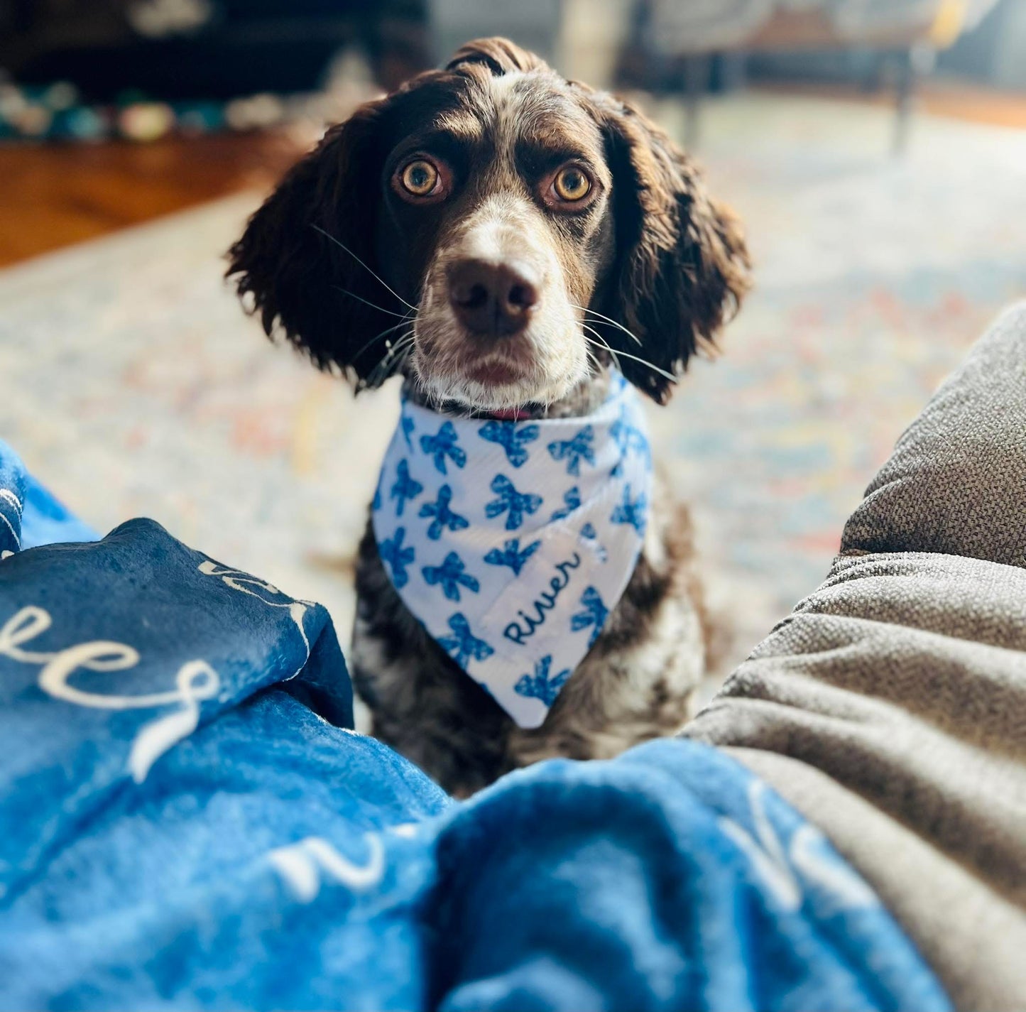 Floral Blue Bows