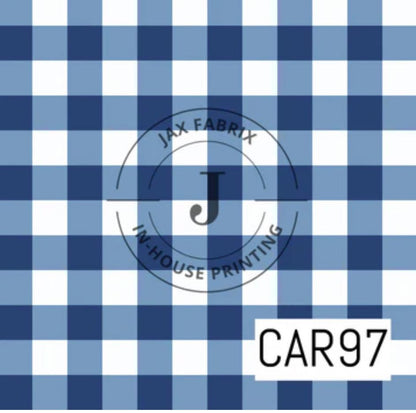 RTS Blue gingham