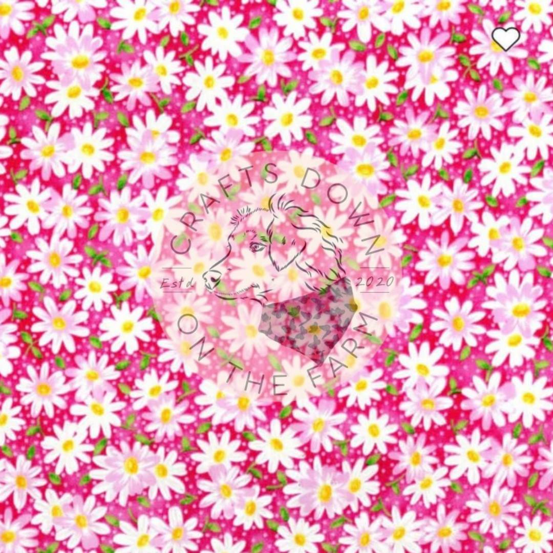 Pink Daisies